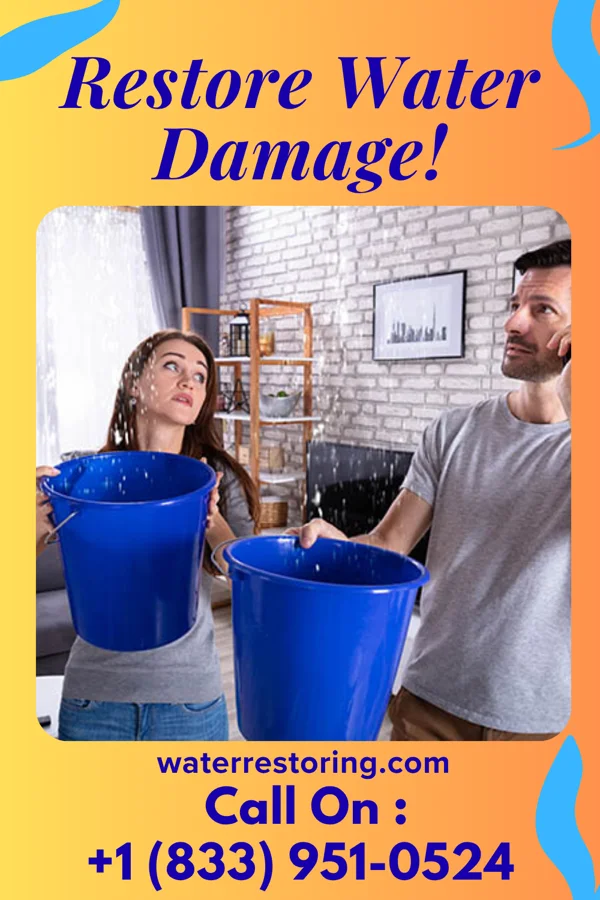 water restoration Platinum Water Cleanup Co Monticello