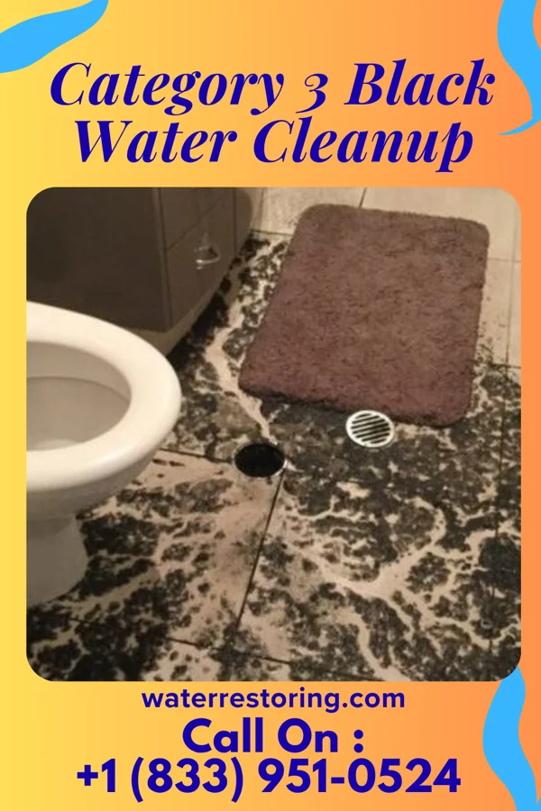 Category 3 Black Water Cleanup in Monticello, FL